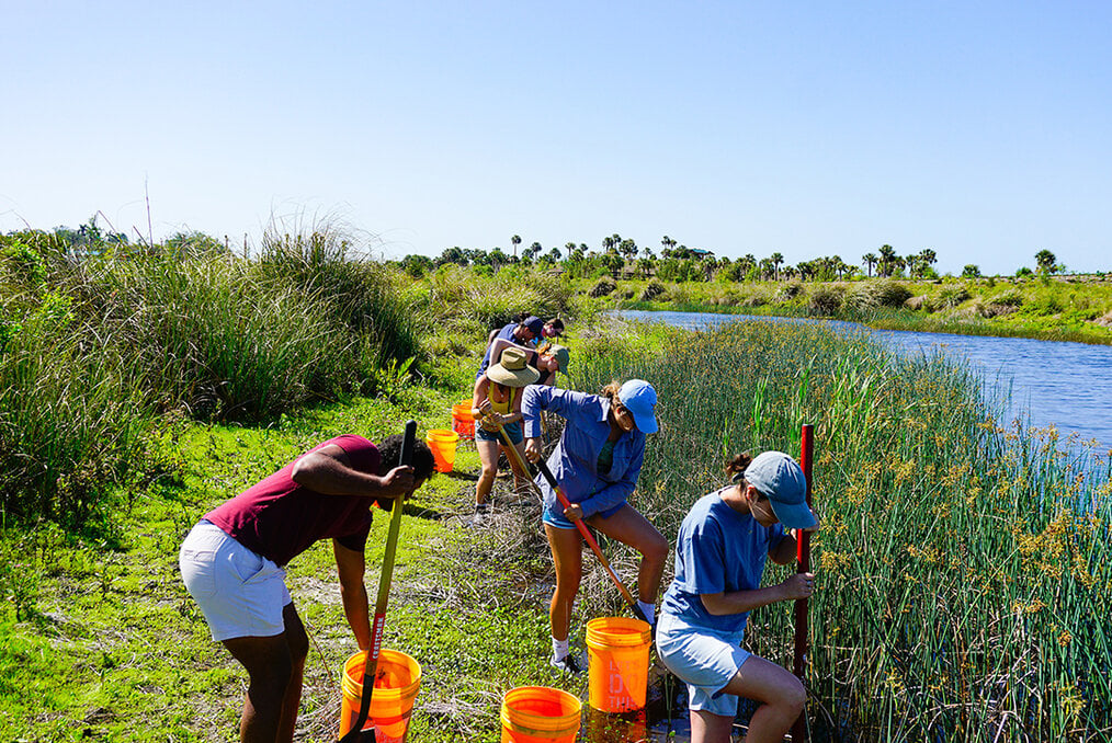 A group of volunteers digging